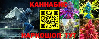трава Донецк