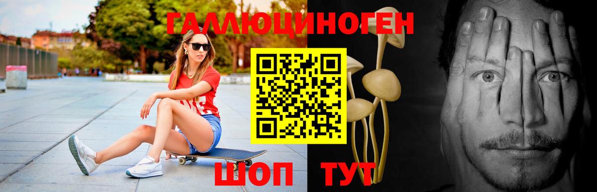Новозыбков  Псилоцибиновые грибы Psilocybe  Вход с VPN 